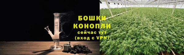 ГАЛЛЮЦИНОГЕННЫЕ ГРИБЫ Бородино