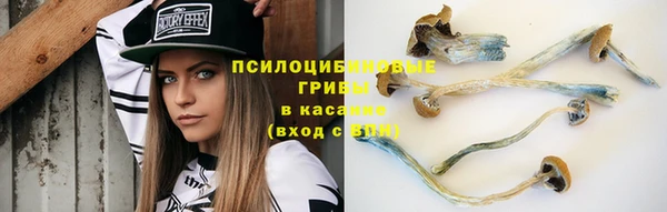 ГАЛЛЮЦИНОГЕННЫЕ ГРИБЫ Бородино