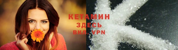 ГАЛЛЮЦИНОГЕННЫЕ ГРИБЫ Бородино