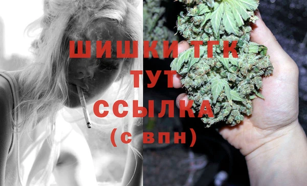 ГАЛЛЮЦИНОГЕННЫЕ ГРИБЫ Бородино