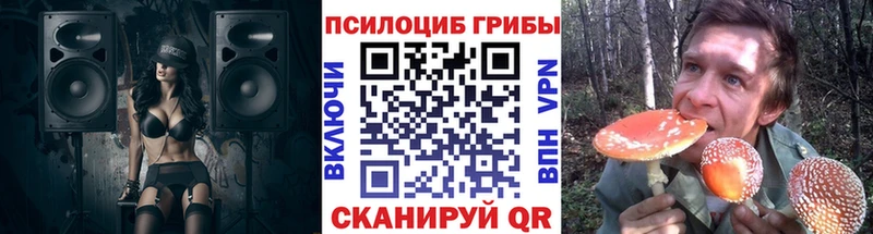 Псилоцибиновые грибы прущие грибы Вихоревка